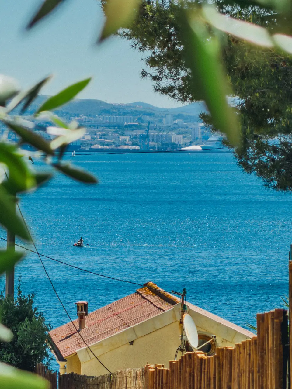 La mer entre les pins